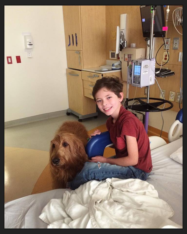 49491055_10104513311409895_6885060522287300608_n